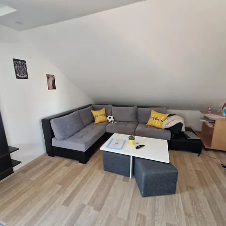 Apartman Viking Donji Milanovac Exterior photo