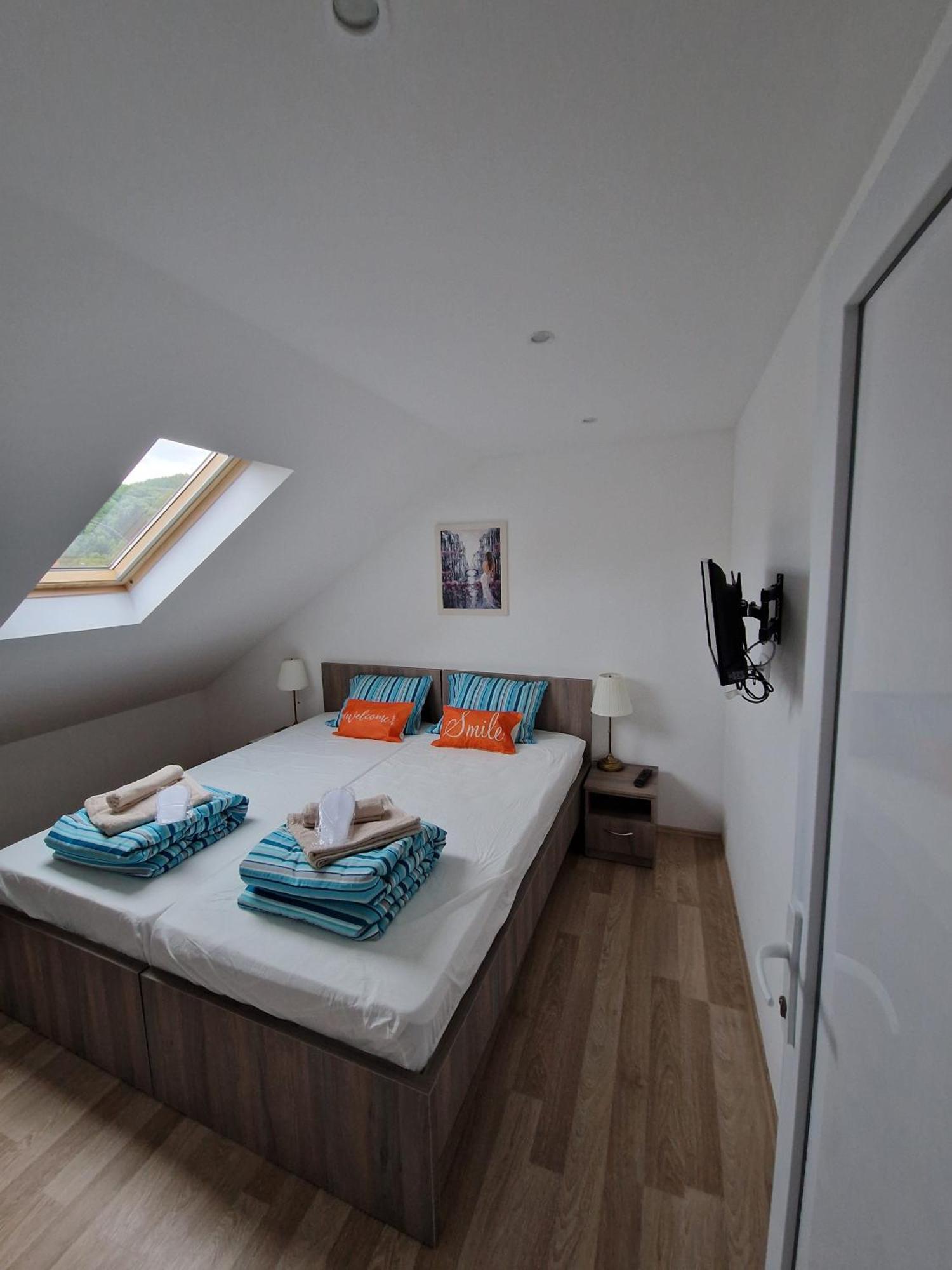 Apartment Viking Donji Milanovac